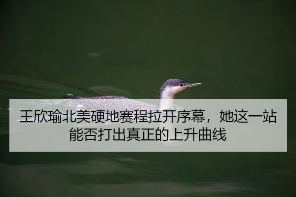 王欣瑜北美硬地赛程拉开序幕，她这一站能否打出真正的上升曲线 - huya